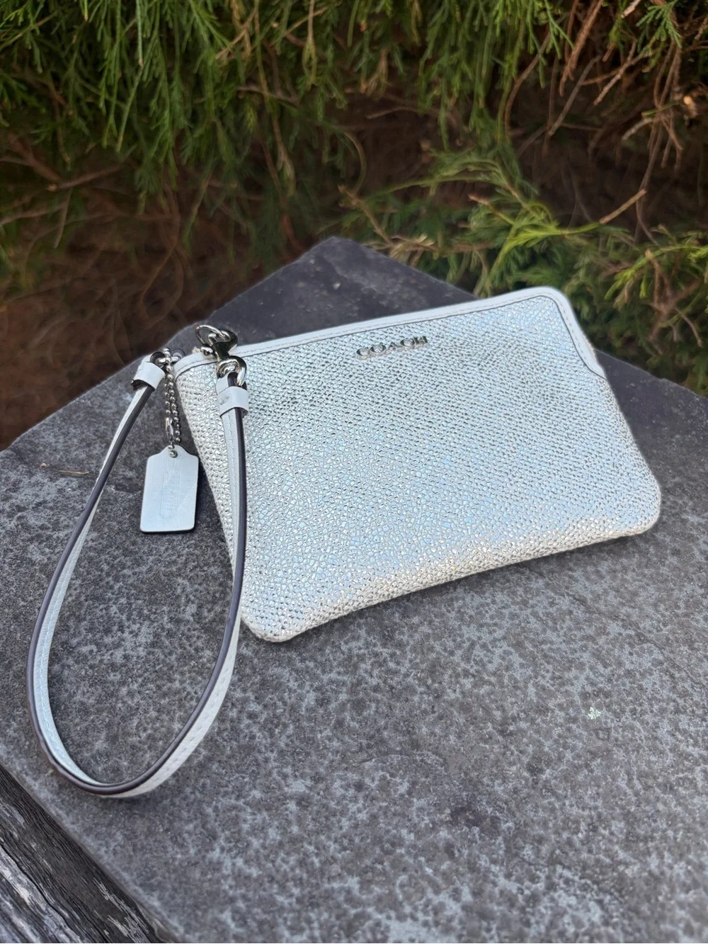 Coach Metallic Pearl Pebbled Leather Zip Wristlet Pouch